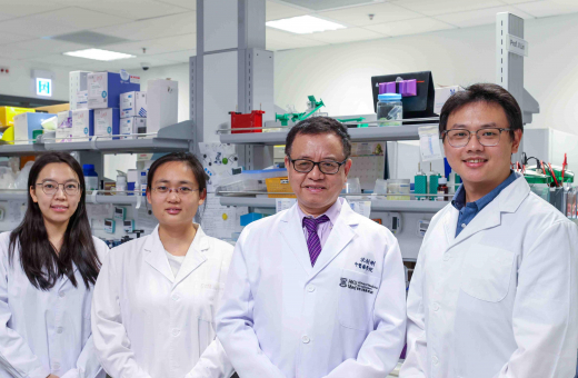 HKUMed develops combined therapy integrating Chinese herb astragalus and methotrexate to overcome drug resistance in autoimmune diseases 